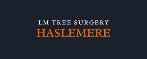 LM Tree Surgery Haslemere